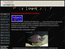 Tablet Screenshot of calvus06.tripod.com