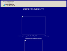 Tablet Screenshot of cricket326.tripod.com
