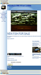 Mobile Screenshot of bnbafricancichlids.tripod.com