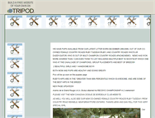Tablet Screenshot of legrandrouge.tripod.com