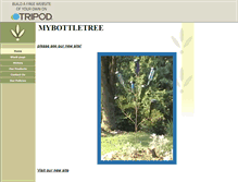 Tablet Screenshot of mybottletree.tripod.com