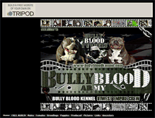 Tablet Screenshot of bullybloodkennels.tripod.com