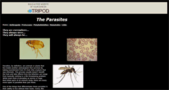 Desktop Screenshot of chronic717.tripod.com
