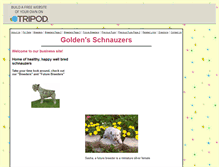 Tablet Screenshot of goldenschnauzers.tripod.com
