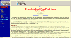 Desktop Screenshot of dsrct.tripod.com
