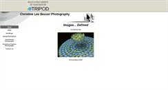 Desktop Screenshot of clbeavsphoto.tripod.com