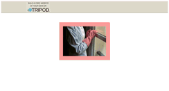Desktop Screenshot of blousenylon.tripod.com