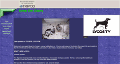 Desktop Screenshot of ccpasnik.tripod.com