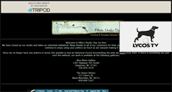 Desktop Screenshot of pillers-r.tripod.com