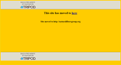 Desktop Screenshot of naturalfibersgroup.tripod.com