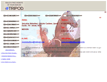 Tablet Screenshot of kafkasmersin.tripod.com