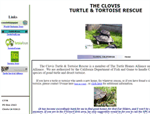 Tablet Screenshot of clovisturtlerescue.tripod.com