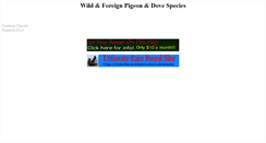 Desktop Screenshot of megapigeon.tripod.com