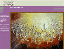 Tablet Screenshot of orioncorales.tripod.com