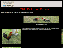 Tablet Screenshot of handhvelcrofarm.tripod.com