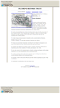 Mobile Screenshot of flushingtrust.tripod.com