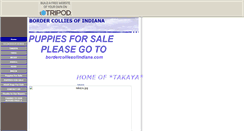 Desktop Screenshot of bordercollies.s.ind.tripod.com