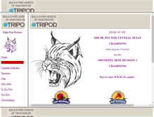 Tablet Screenshot of elginyouthsports.tripod.com