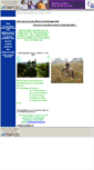 Mobile Screenshot of kazirangasafari.tripod.com