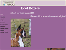 Tablet Screenshot of ecotboxers.tripod.com