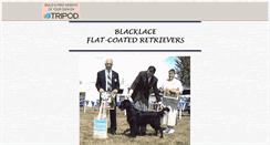 Desktop Screenshot of blacklaceflatcoat.tripod.com