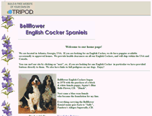 Tablet Screenshot of bellflowerecs.tripod.com
