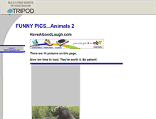 Tablet Screenshot of funnypicsanimals2.tripod.com
