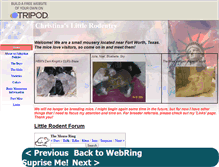 Tablet Screenshot of littlerodent.tripod.com
