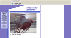 Desktop Screenshot of betta-splendens.tripod.com