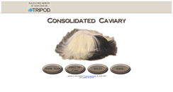 Desktop Screenshot of consolidatedcaviary.tripod.com