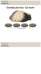 Mobile Screenshot of consolidatedcaviary.tripod.com