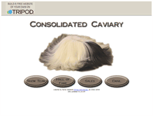 Tablet Screenshot of consolidatedcaviary.tripod.com