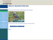 Tablet Screenshot of help-for-bluebirds.tripod.com