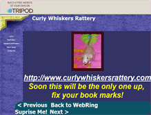 Tablet Screenshot of curlywhiskersrattery.tripod.com