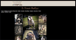 Desktop Screenshot of etownbullyz.tripod.com