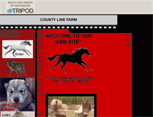 Tablet Screenshot of countylinefarm.tripod.com