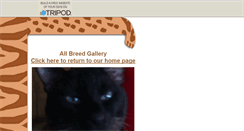 Desktop Screenshot of exoticats.tripod.com