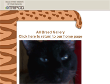 Tablet Screenshot of exoticats.tripod.com