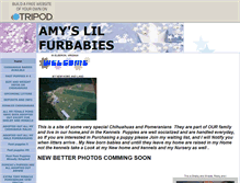 Tablet Screenshot of lvchihuahuas.tripod.com