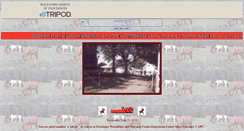 Desktop Screenshot of fwb.tripod.com