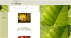 Desktop Screenshot of bluegrassproject.tripod.com