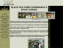 Tablet Screenshot of blackdogconnemaras.tripod.com