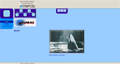 Desktop Screenshot of dusky-dolphin.tripod.com