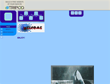 Tablet Screenshot of dusky-dolphin.tripod.com