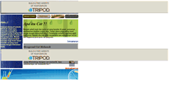 Desktop Screenshot of infocat.tripod.com