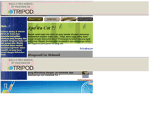 Tablet Screenshot of infocat.tripod.com