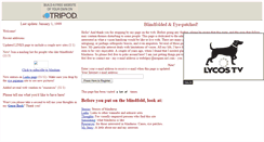 Desktop Screenshot of blindone.tripod.com