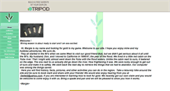 Desktop Screenshot of dredgegold.tripod.com
