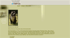 Desktop Screenshot of easttexasbullies.tripod.com
