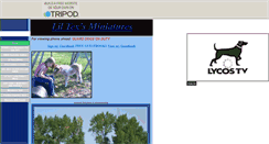 Desktop Screenshot of pminiatures.tripod.com